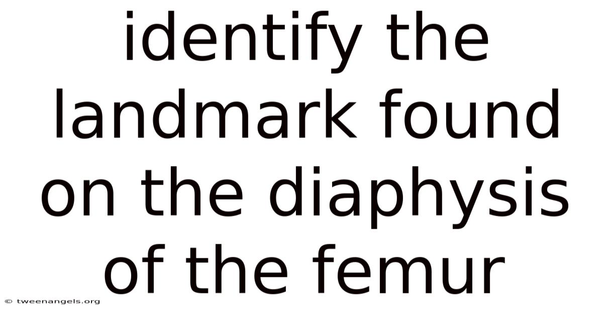 Identify The Landmark Found On The Diaphysis Of The Femur