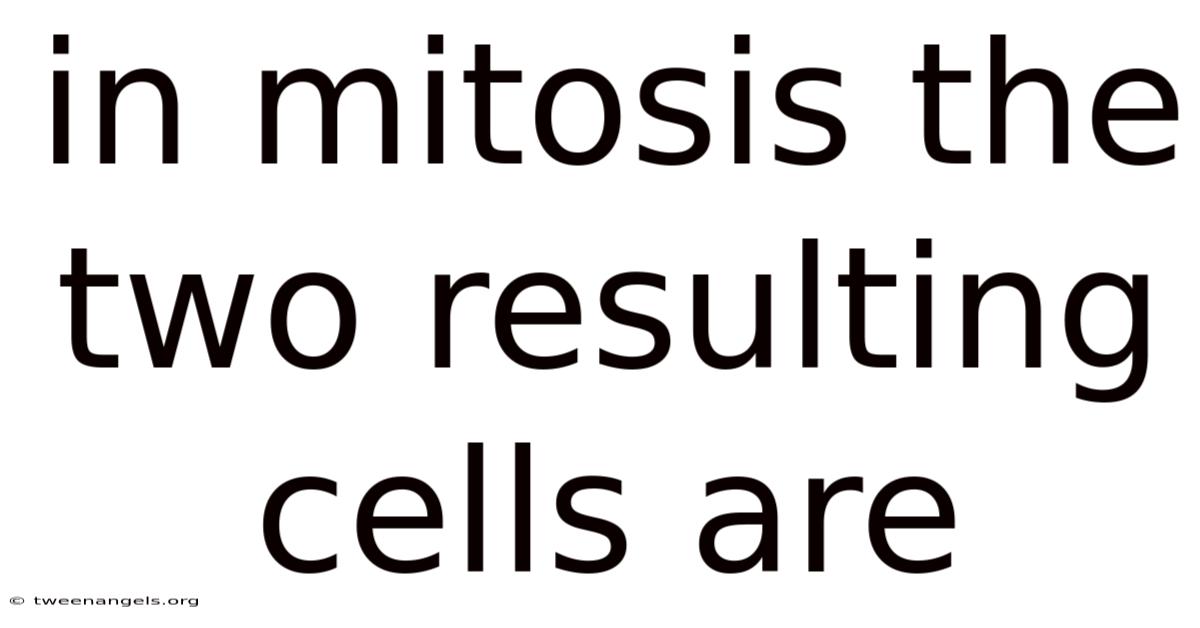 In Mitosis The Two Resulting Cells Are