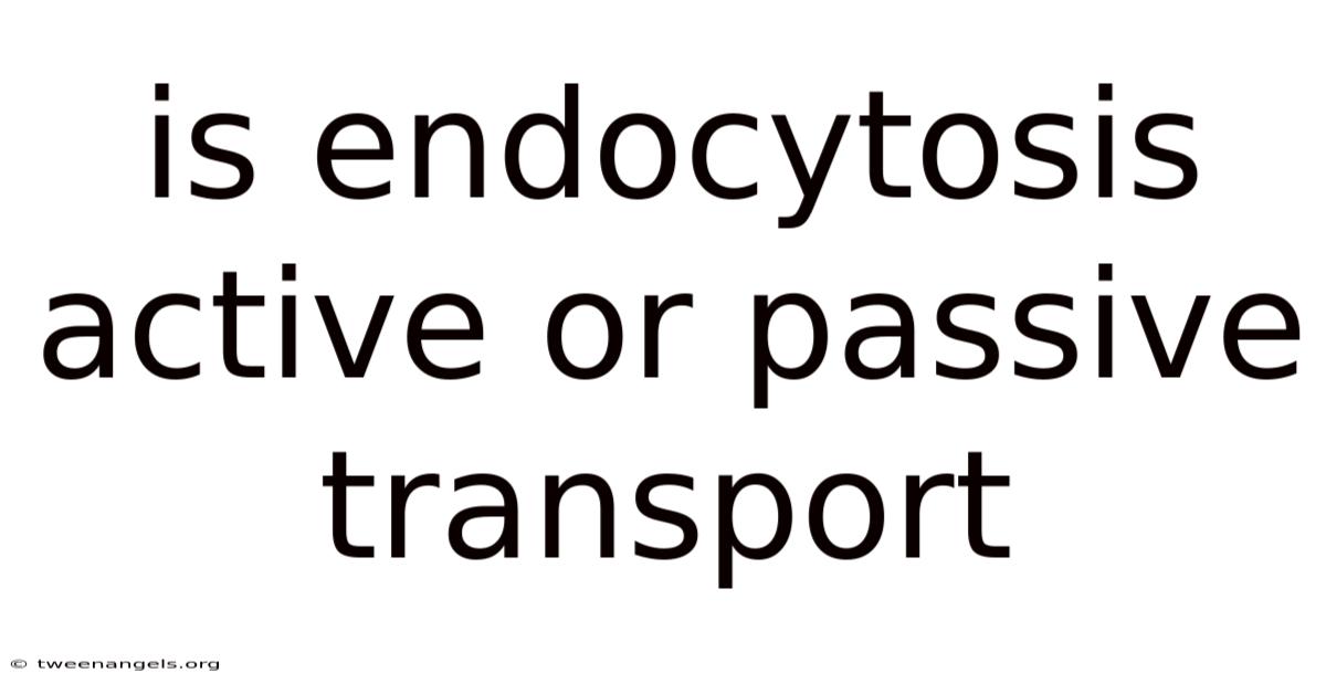 Is Endocytosis Active Or Passive Transport