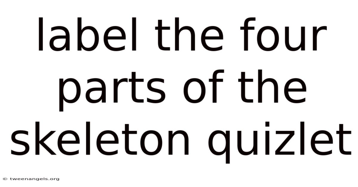 Label The Four Parts Of The Skeleton Quizlet