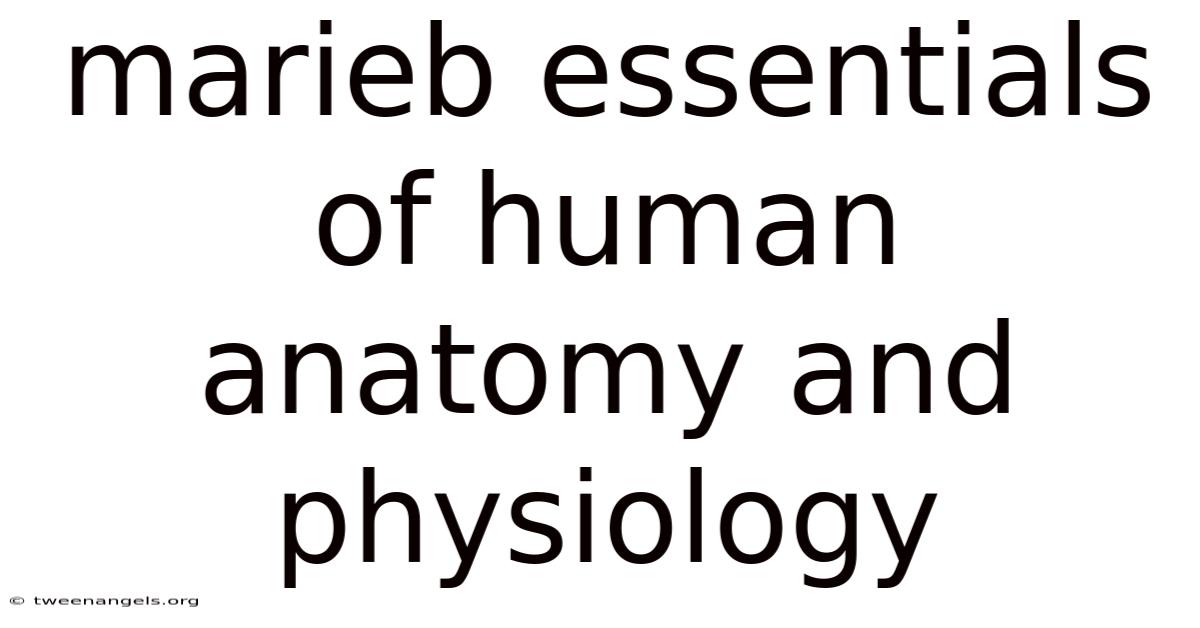 Marieb Essentials Of Human Anatomy And Physiology