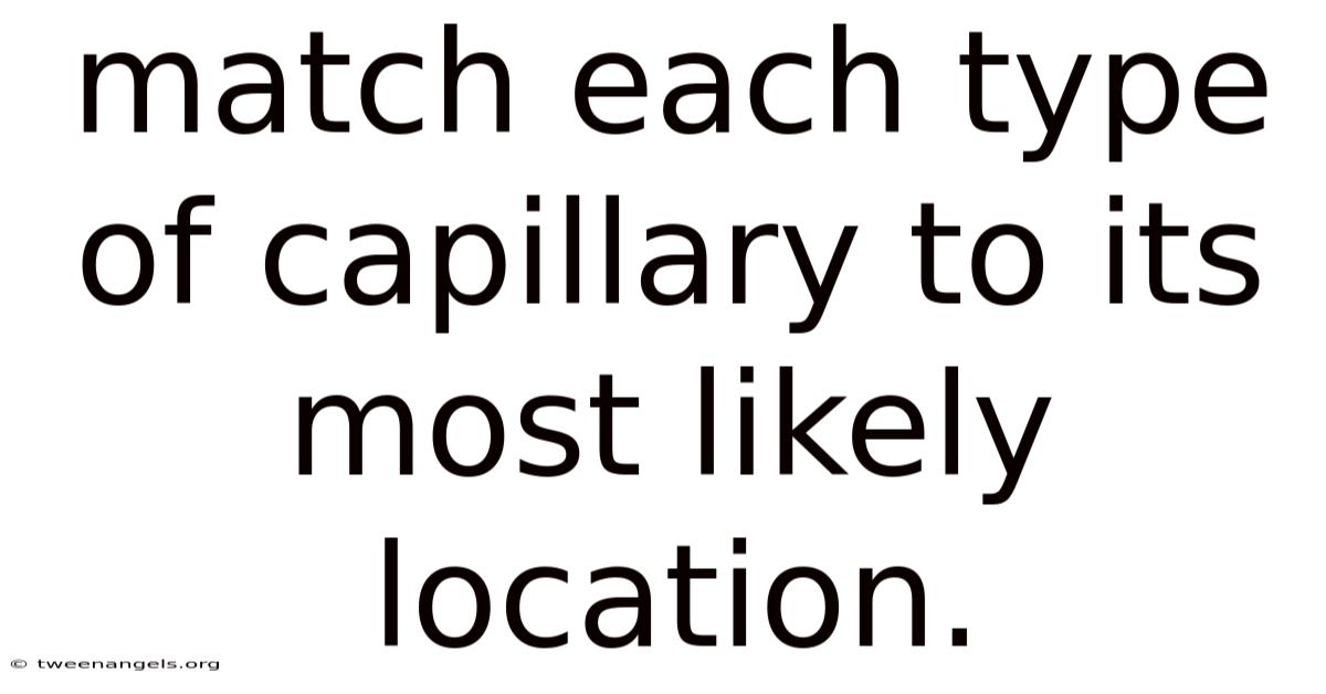 Match Each Type Of Capillary To Its Most Likely Location.