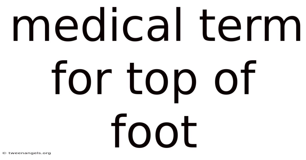 Medical Term For Top Of Foot