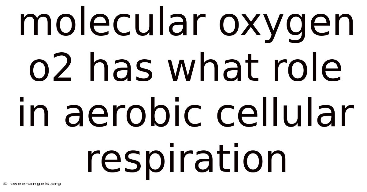 Molecular Oxygen O2 Has What Role In Aerobic Cellular Respiration