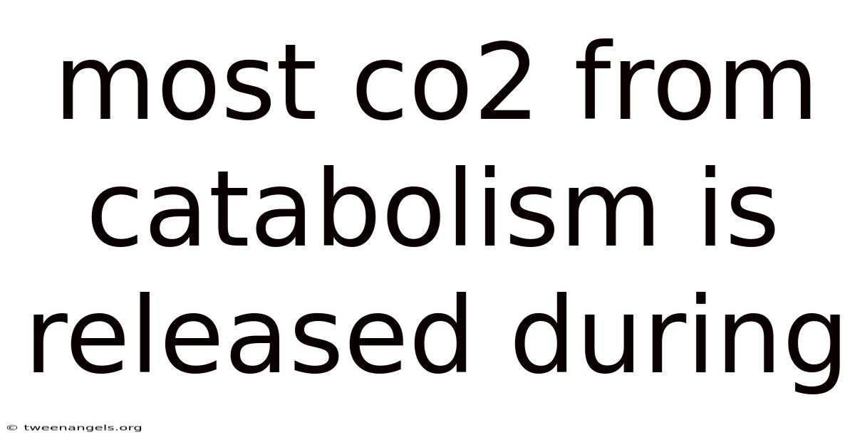 Most Co2 From Catabolism Is Released During