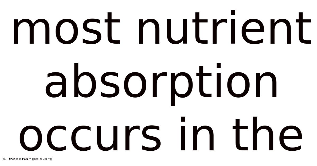 Most Nutrient Absorption Occurs In The