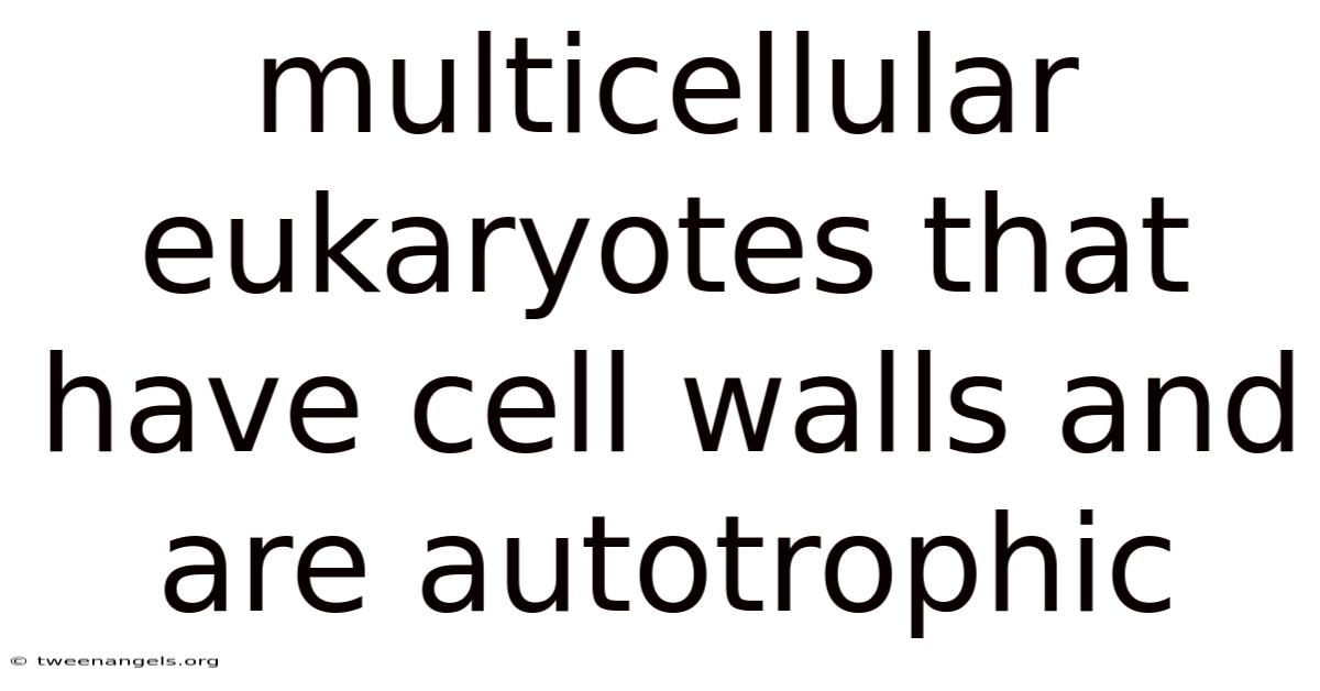Multicellular Eukaryotes That Have Cell Walls And Are Autotrophic
