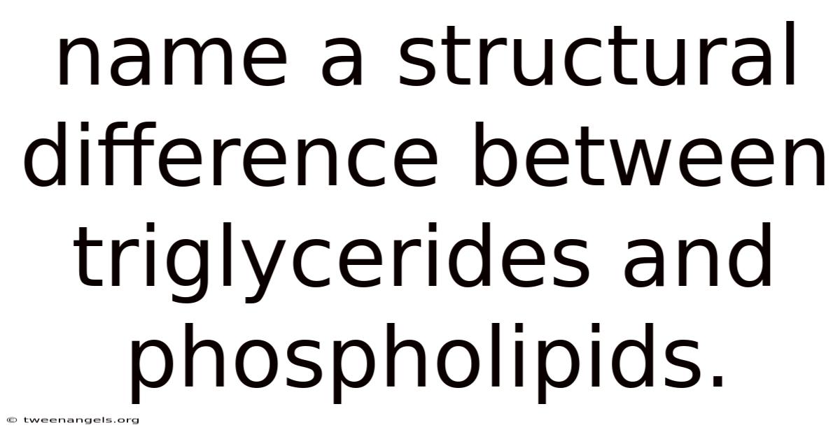 Name A Structural Difference Between Triglycerides And Phospholipids.