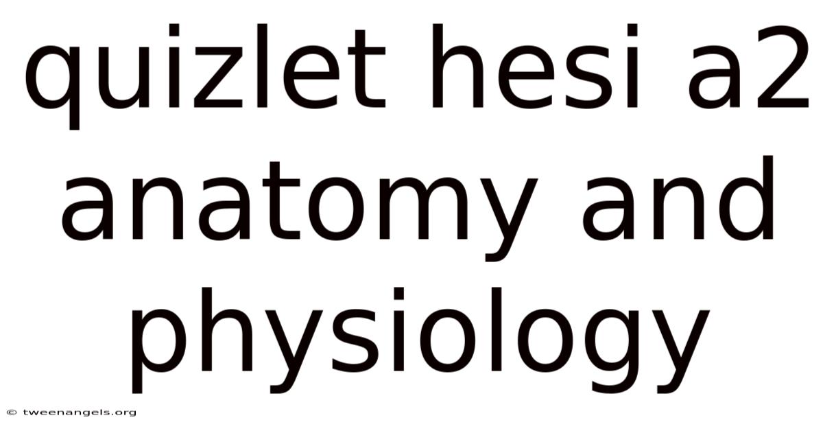Quizlet Hesi A2 Anatomy And Physiology