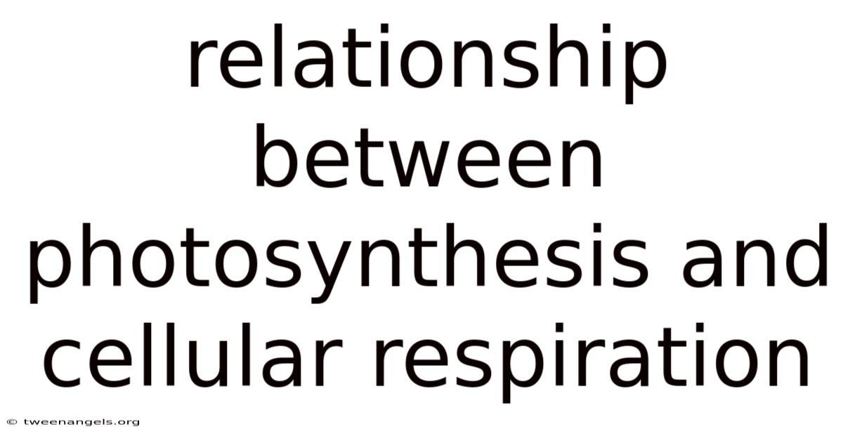 Relationship Between Photosynthesis And Cellular Respiration