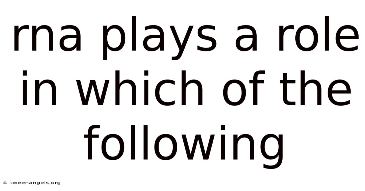 Rna Plays A Role In Which Of The Following