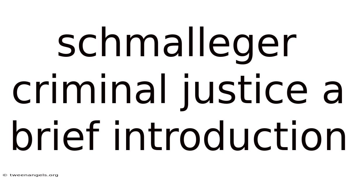 Schmalleger Criminal Justice A Brief Introduction