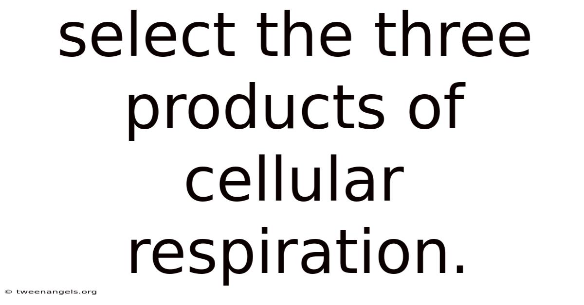 Select The Three Products Of Cellular Respiration.