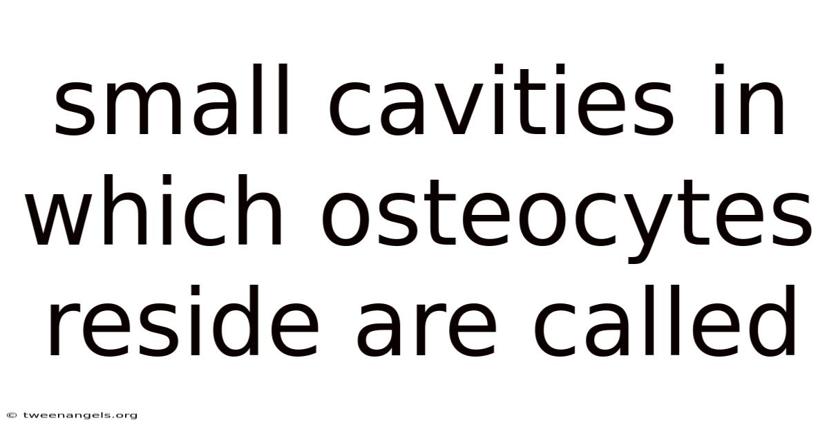 Small Cavities In Which Osteocytes Reside Are Called