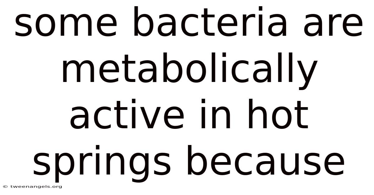 Some Bacteria Are Metabolically Active In Hot Springs Because