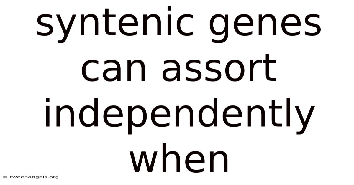 Syntenic Genes Can Assort Independently When