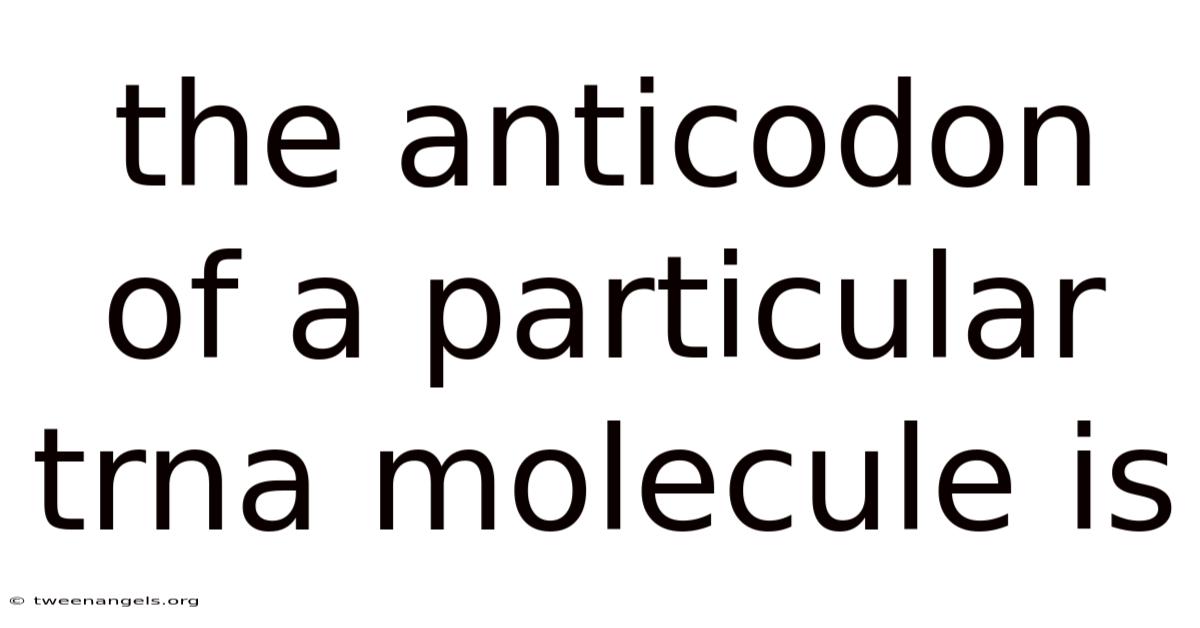 The Anticodon Of A Particular Trna Molecule Is