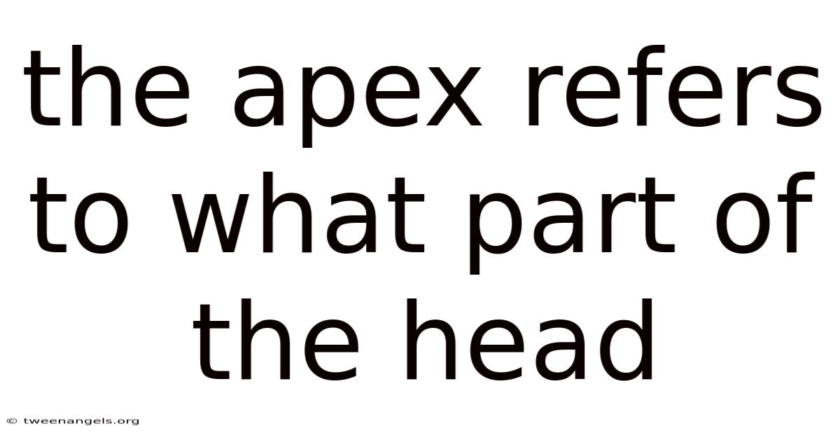 The Apex Refers To What Part Of The Head