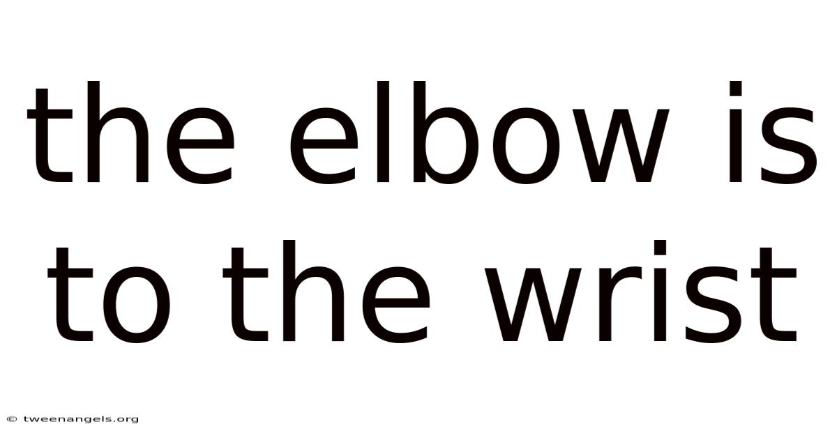 The Elbow Is To The Wrist