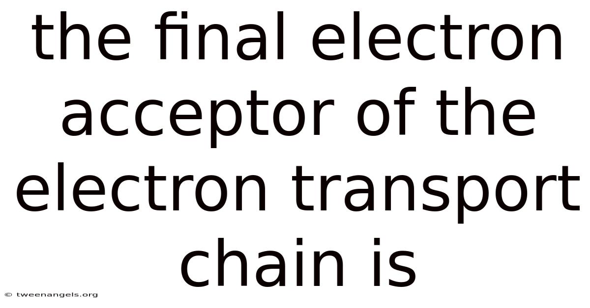 The Final Electron Acceptor Of The Electron Transport Chain Is
