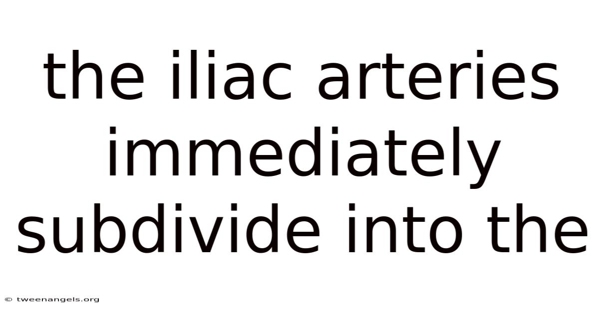 The Iliac Arteries Immediately Subdivide Into The