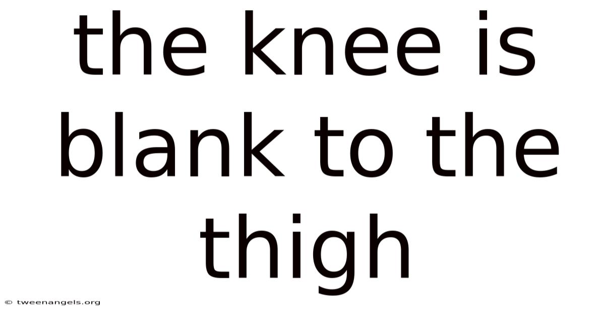 The Knee Is Blank To The Thigh