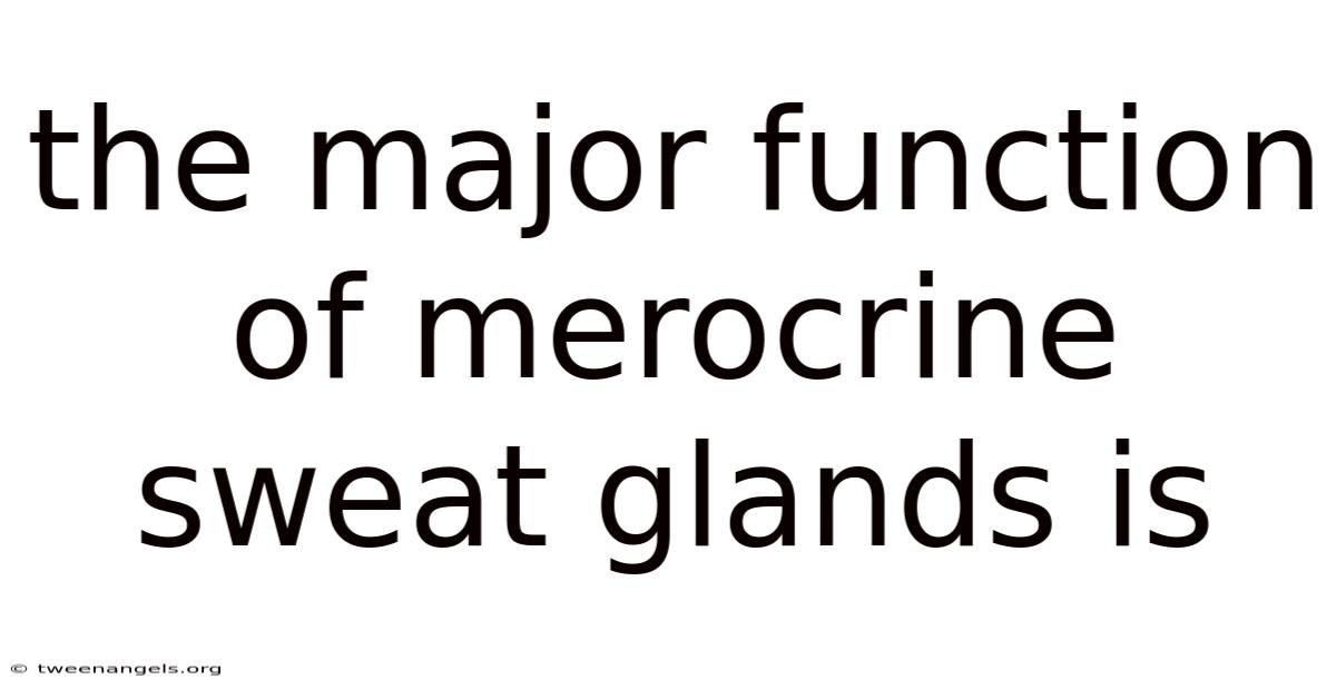 The Major Function Of Merocrine Sweat Glands Is