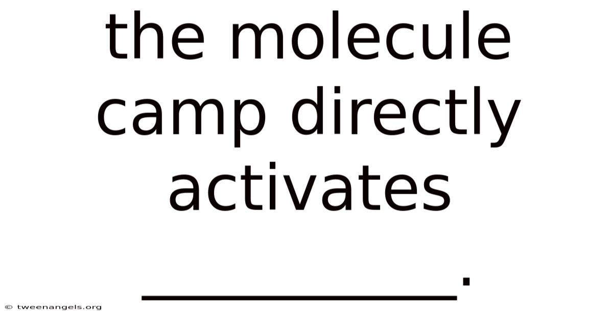 The Molecule Camp Directly Activates __________.