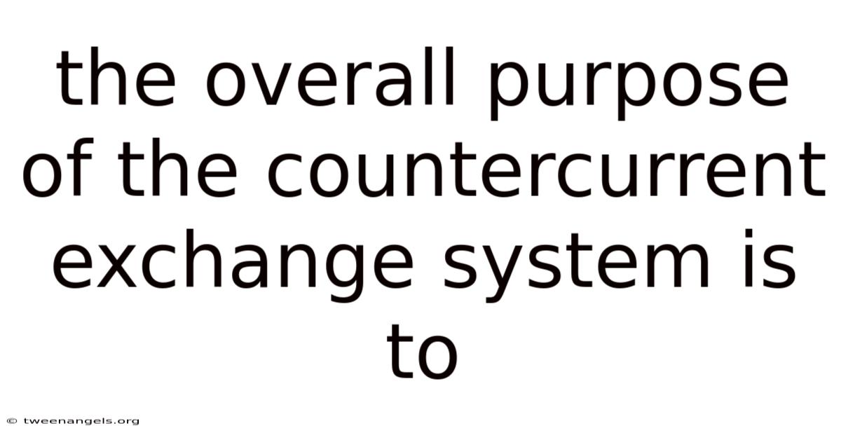The Overall Purpose Of The Countercurrent Exchange System Is To