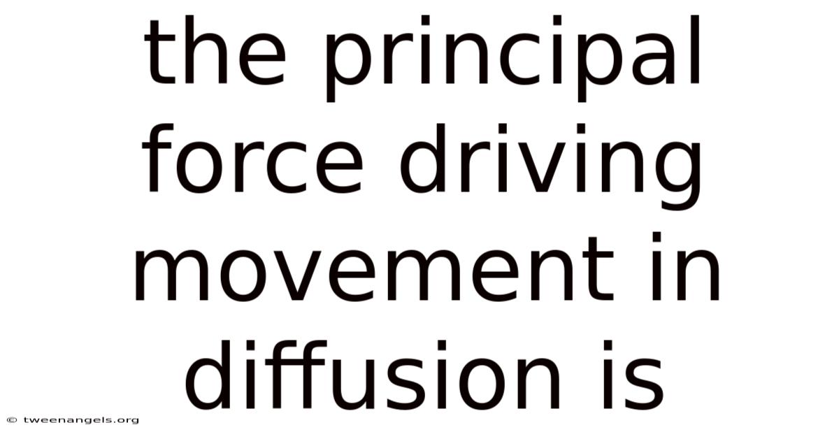 The Principal Force Driving Movement In Diffusion Is
