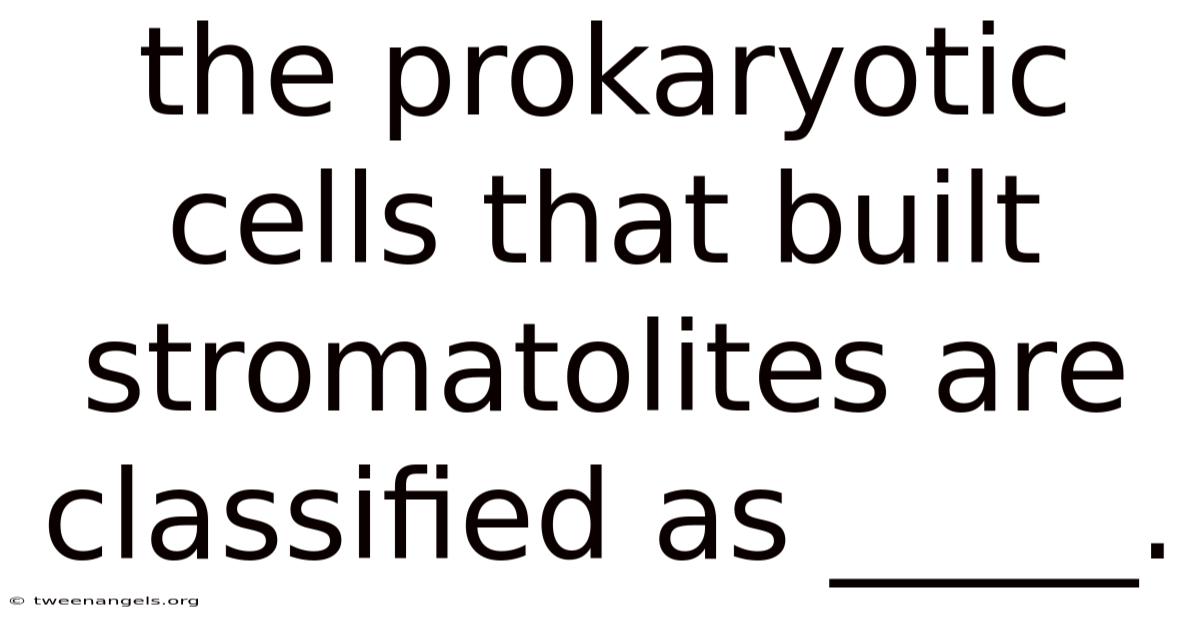 The Prokaryotic Cells That Built Stromatolites Are Classified As _____.
