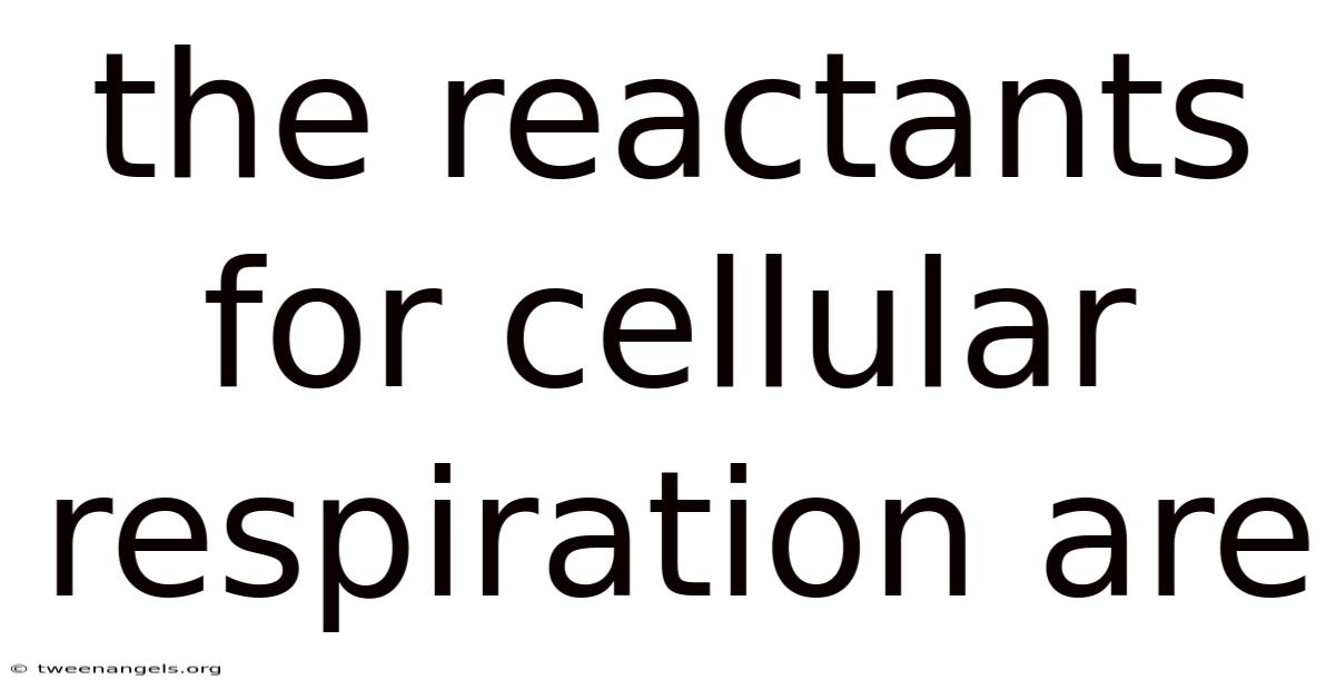 The Reactants For Cellular Respiration Are
