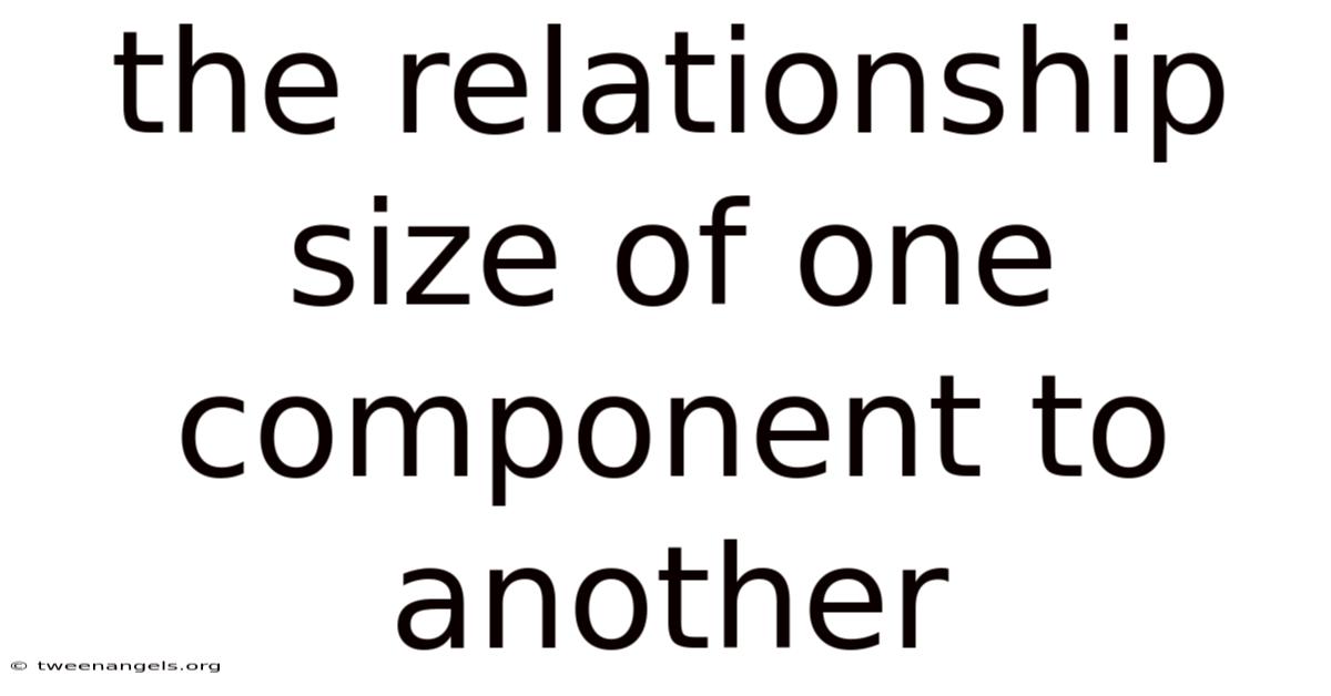 The Relationship Size Of One Component To Another