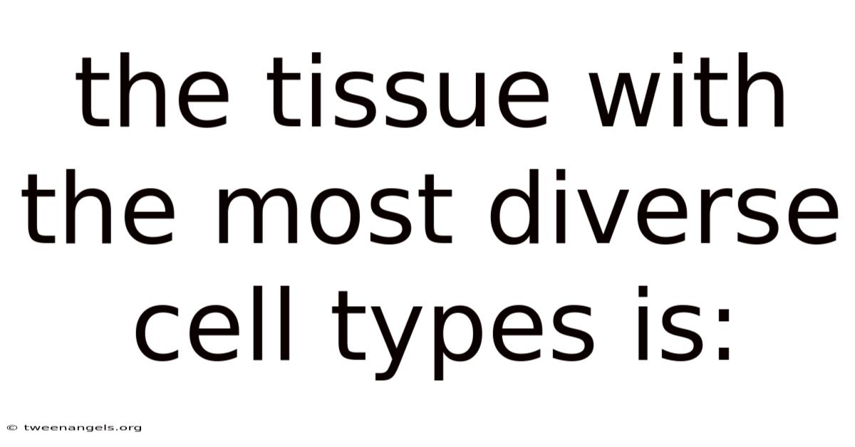 The Tissue With The Most Diverse Cell Types Is: