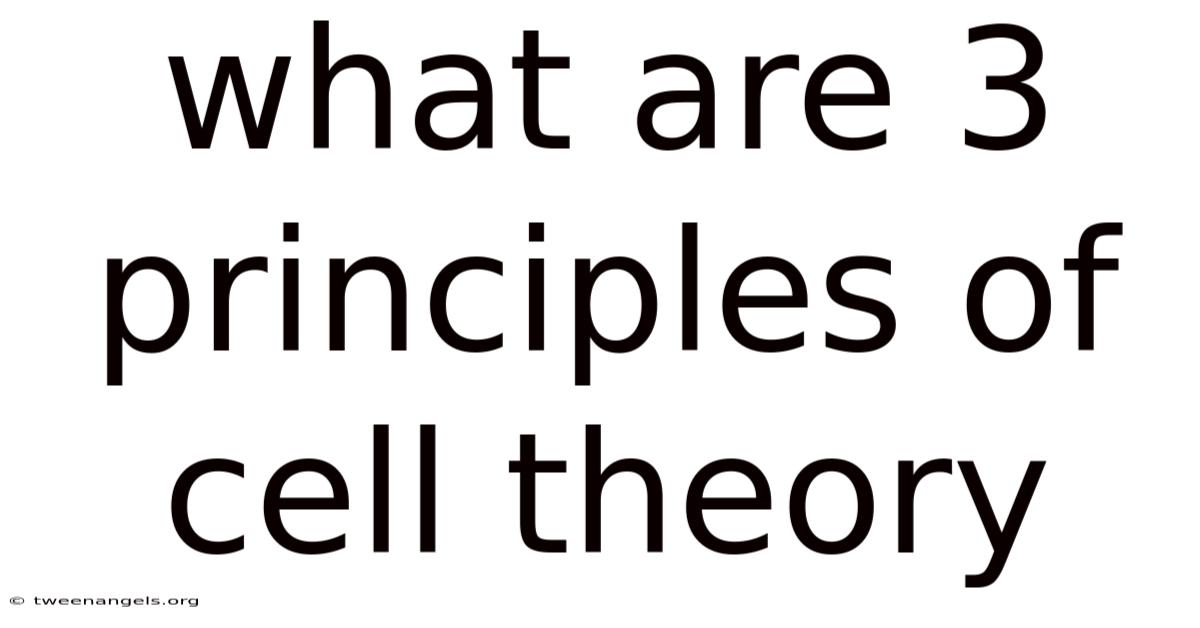 What Are 3 Principles Of Cell Theory