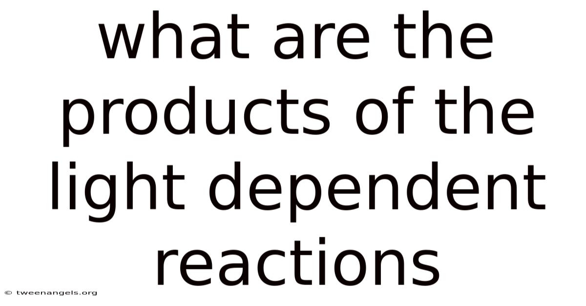 What Are The Products Of The Light Dependent Reactions