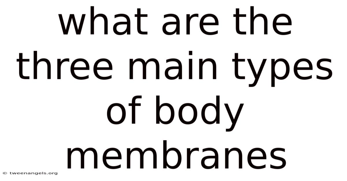 What Are The Three Main Types Of Body Membranes