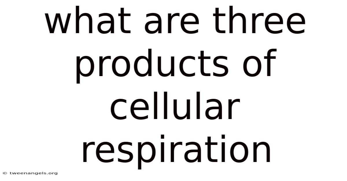 What Are Three Products Of Cellular Respiration