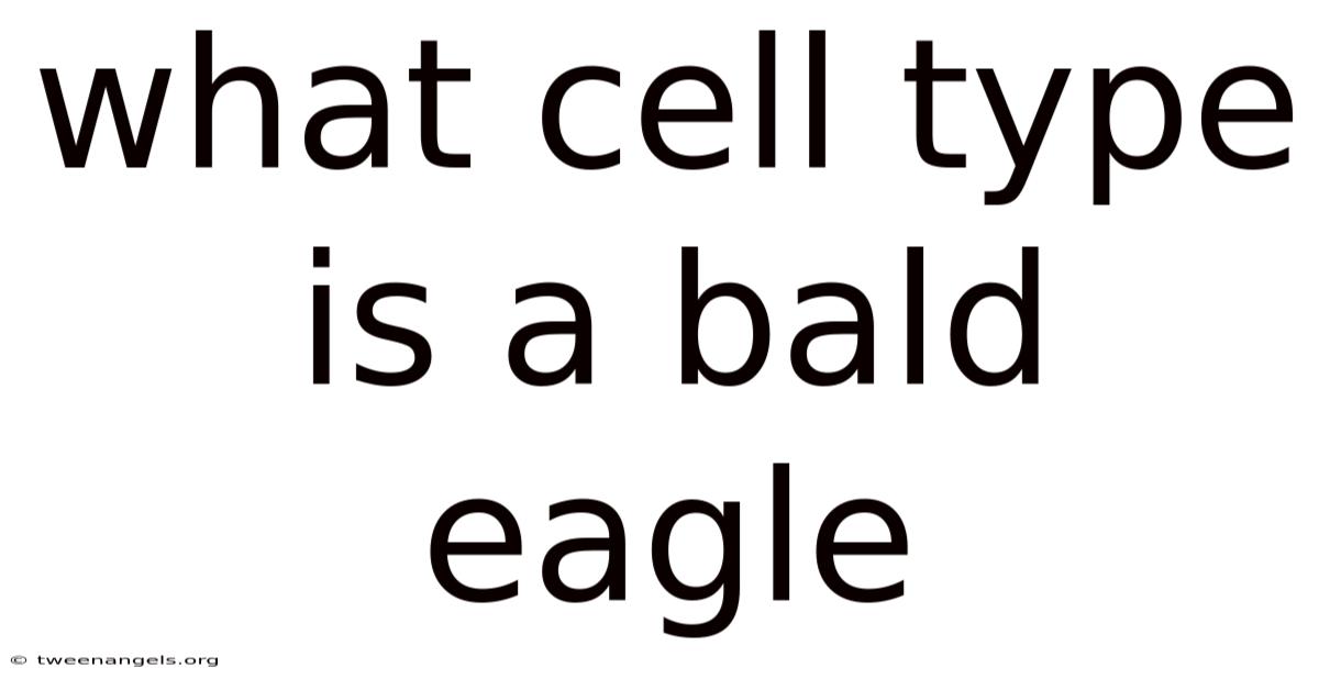 What Cell Type Is A Bald Eagle