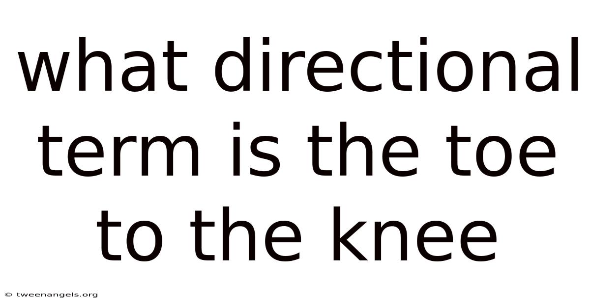 What Directional Term Is The Toe To The Knee