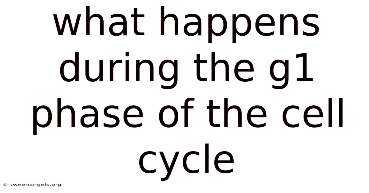 What Happens During The G1 Phase Of The Cell Cycle