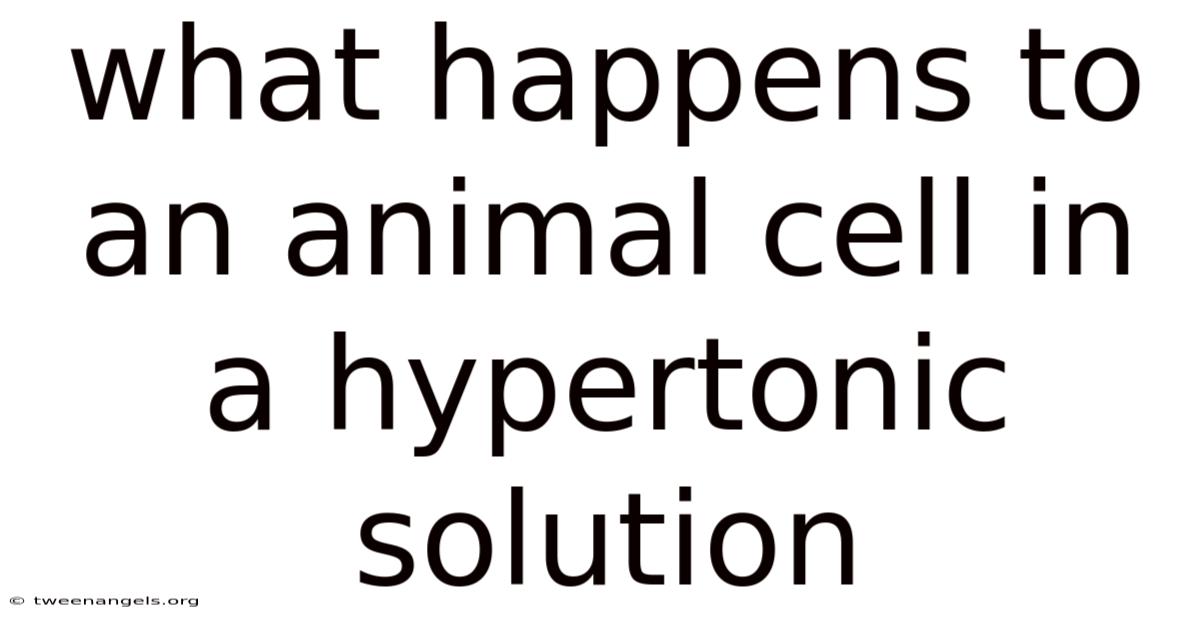 What Happens To An Animal Cell In A Hypertonic Solution