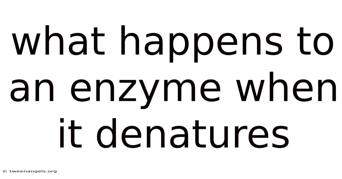 What Happens To An Enzyme When It Denatures