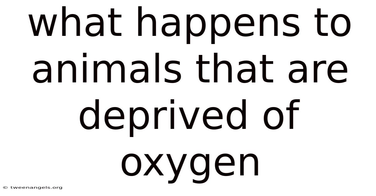 What Happens To Animals That Are Deprived Of Oxygen