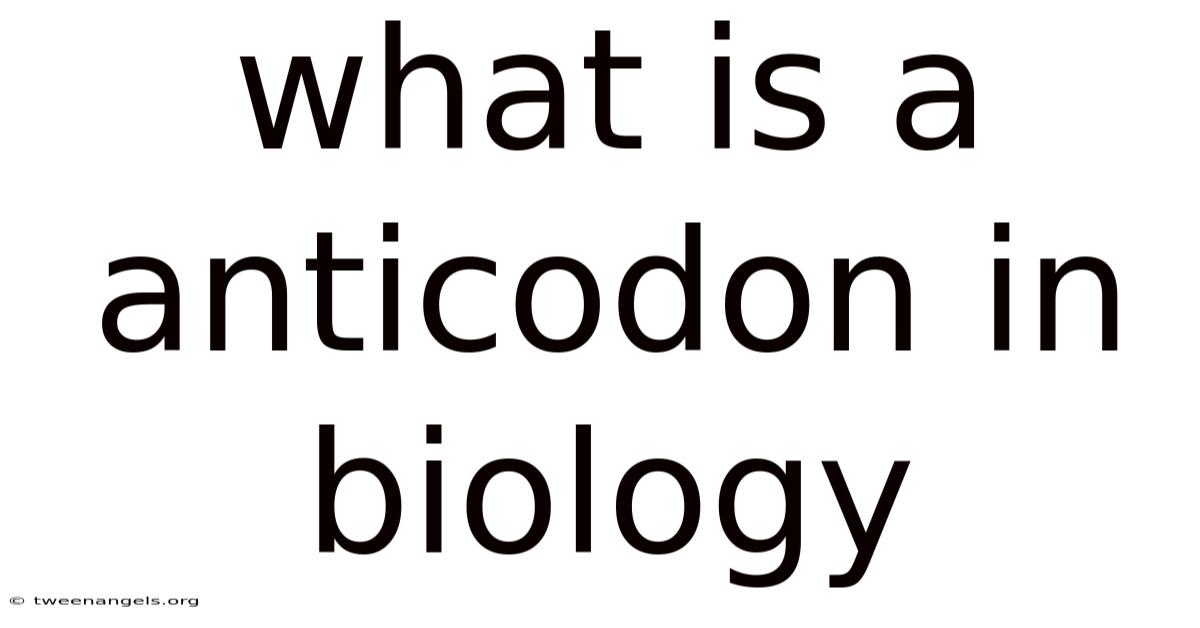 What Is A Anticodon In Biology