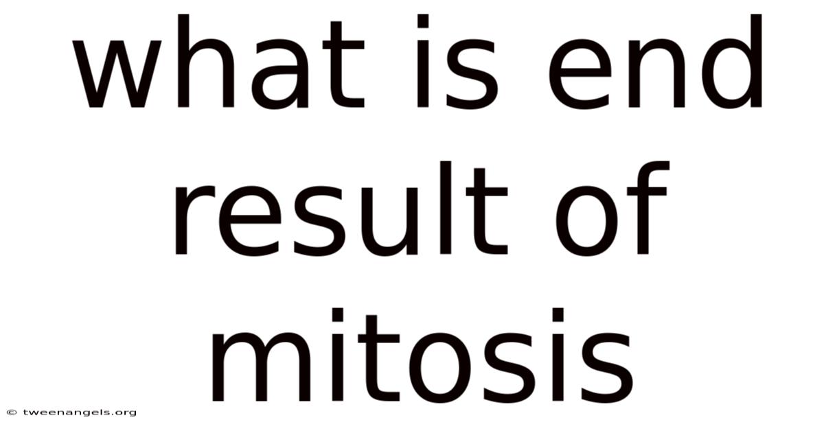 What Is End Result Of Mitosis