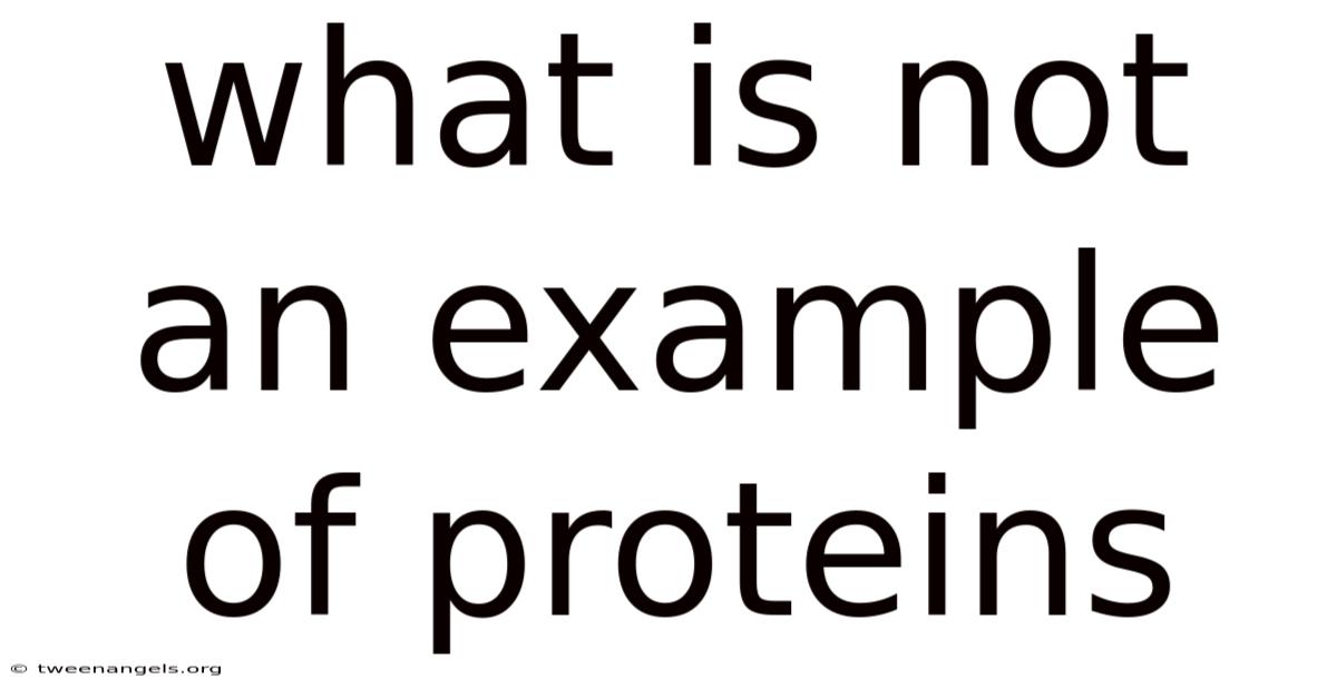 What Is Not An Example Of Proteins