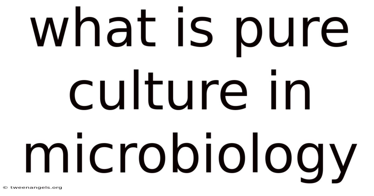 What Is Pure Culture In Microbiology