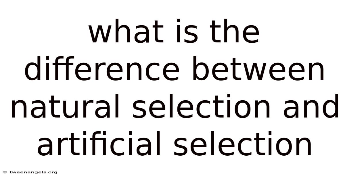 What Is The Difference Between Natural Selection And Artificial Selection