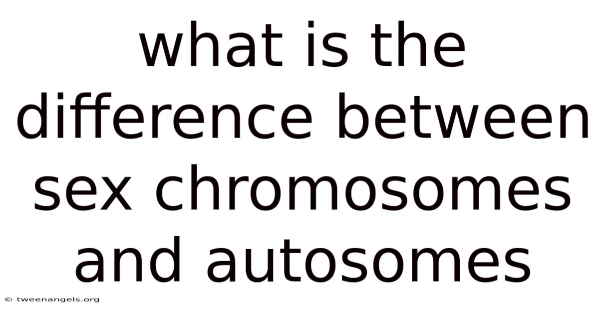What Is The Difference Between Sex Chromosomes And Autosomes